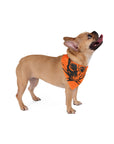 Skull and Bones Pet Bandana